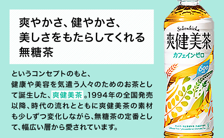 ★3ヶ月定期便★ 爽健美茶 600ml×24本 コカ・コーラボトラーズジャパン（株）《お申込み月翌月から出荷開始》和歌山県 紀の川市 お茶 茶 ハトムギ 玄米 月見草