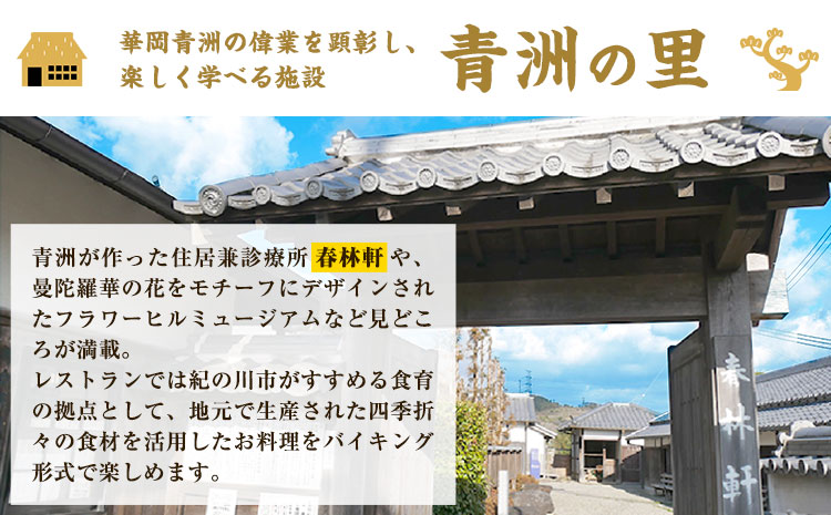 案内人と行く青州の里満喫ツアー 1名様 　一般社団法人青洲の里 体験型返礼品 コト消費 《90日以内に出荷予定(土日祝除く)》 和歌山県 紀の川市