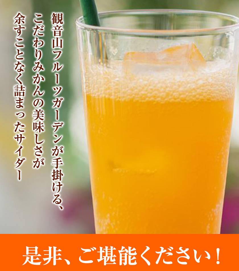 みかん農園サイダー（果汁51％）24本入 有限会社柑香園 《30日以内に出荷予定(土日祝除く)》 和歌山県 紀の川市 フルーツ 果物 柑橘 炭酸 サイダー