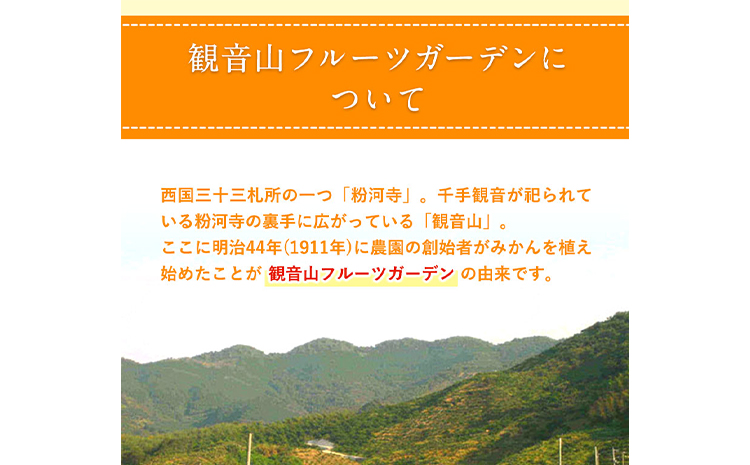 みかん農園サイダー（果汁51％）24本入 有限会社柑香園 《30日以内に出荷予定(土日祝除く)》 和歌山県 紀の川市 フルーツ 果物 柑橘 炭酸 サイダー