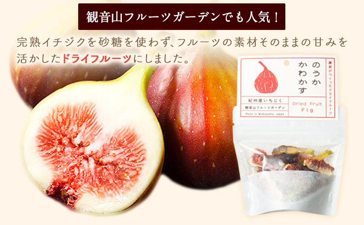観音山ドライフルーツ（イチジク）30g 1個 有限会社柑香園 《30日以内に出荷予定(土日祝除く)》 和歌山県 紀の川市 フルーツ 果物 いちじく ドライフルーツ 送料無料