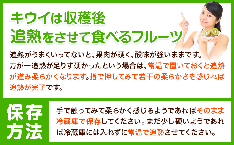 【先行予約】和歌山県紀の川市産 キウイ約2kg(12〜17玉) ときわオンライン《12月下旬-2027年5月中旬頃出荷》 和歌山県 紀の川市 キウイ キウイフルーツ 果物 フルーツ 送料無料