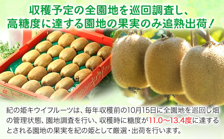 【先行予約】紀の姫キウイフルーツ 約3.6kg (20-27玉入) JAわかやま 紀の里地域本部 《2027年1月上旬-2月末頃出荷》 和歌山県 紀の川市