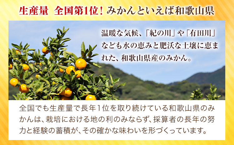  【訳あり/ご家庭用】 先行予約 和歌山県産みかん 約5kg【サイズ混合】 サンファーム《10月上旬-1月下旬頃出荷》和歌山県 紀の川市