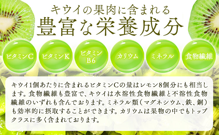 【先行予約】紀の姫キウイフルーツ 約3.6kg (20-27玉入) JAわかやま 紀の里地域本部 《2027年1月上旬-2月末頃出荷》 和歌山県 紀の川市