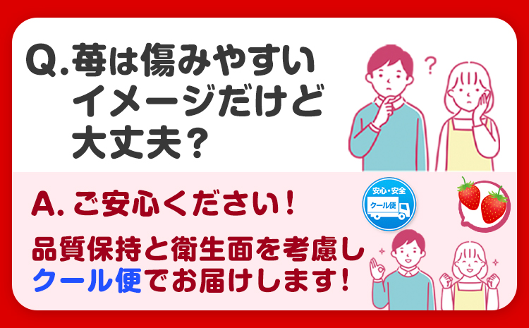 いちご まりひめ 約500g (250g×2パック) お試し パック 苺 イチゴ JAわかやま 紀の里地域本部《2027年2月中旬-3月末頃出荷》 和歌山県 紀の川市 青果物 果物 くだもの フルーツ スイーツ