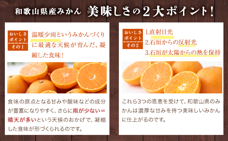  【訳あり/ご家庭用】 先行予約 和歌山県産みかん 約5kg【サイズ混合】 サンファーム《10月上旬-1月下旬頃出荷》和歌山県 紀の川市