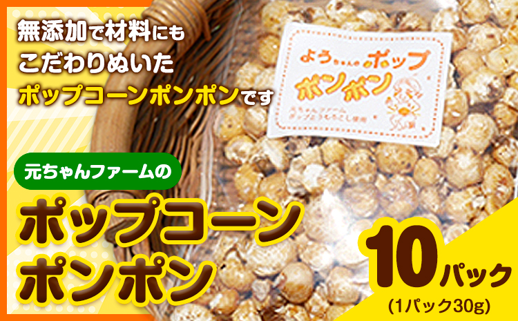 ポップコーンポンポン 元ちゃんファーム《30日以内に出荷予定(土日祝除く)》 和歌山県 紀の川市 トウモロコシ 菓子 ポップコーン 送料無料