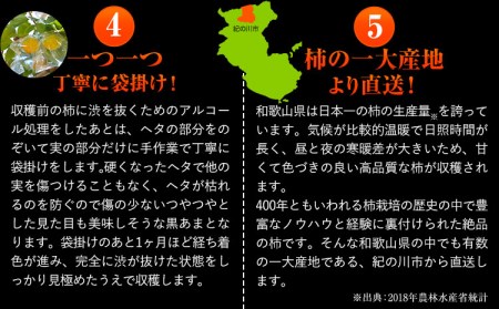 紀の川市産 黒あま 種なし 約2kg（6〜9玉前後）4L〜2Lサイズ《2024年10月上旬-11月上旬頃出荷》和歌山県 紀の川市 たねなし柿 くろあま 高級 産地直送 かき 柿 カキ 果物 フルーツ