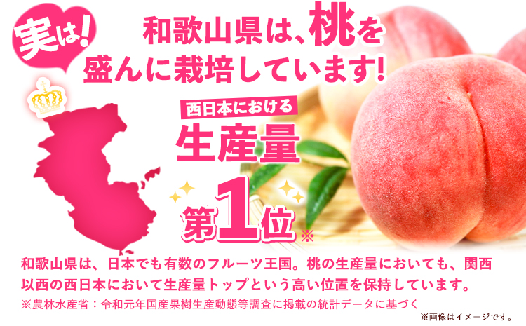 桃 もも あら川の桃 和歌山県産 紀州 の名産 旬の桃厳選 約4kg 12-15玉入り 《2024年6月中旬-8月中旬頃出荷》 果物 フルーツ お取り寄せ 和歌山 予約 あかつき 紀の川 あらかわ 白鳳 日川白鳳 八旗白鳳 清水白桃 川中島白桃 つきあかり