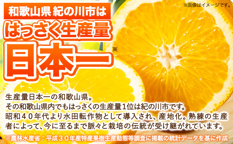 訳あり サイズ不選別 早生･晩生指定不可 はっさく 約4kg (4L~Sサイズ)《2月上旬-4月中旬頃出荷》和歌山県 紀の川市 産地直送 みかん 八朔 柑橘 果物 フルーツ ご家庭用 ビタミンC たっぷり