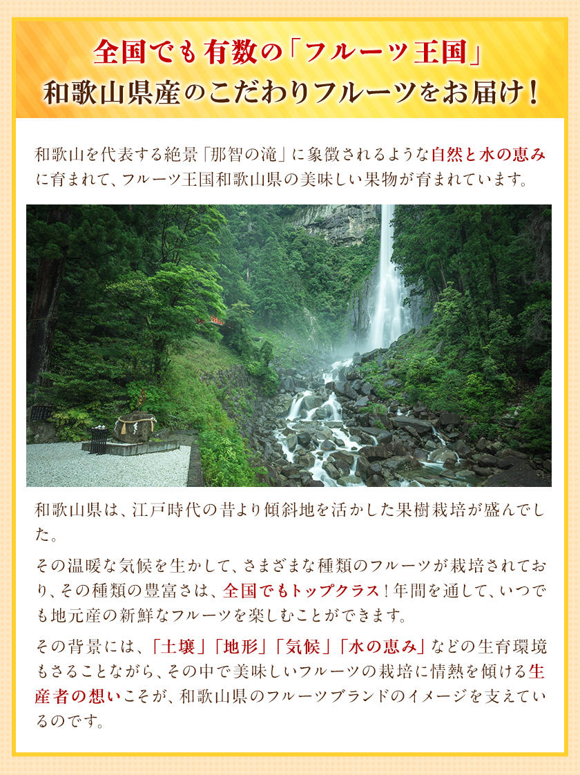 【訳あり/ご家庭用】和歌山県産小玉みかん 約3kg【3S-2Sサイズ】 サンファーム《10月上旬-1月下旬頃出荷》和歌山県 紀の川市