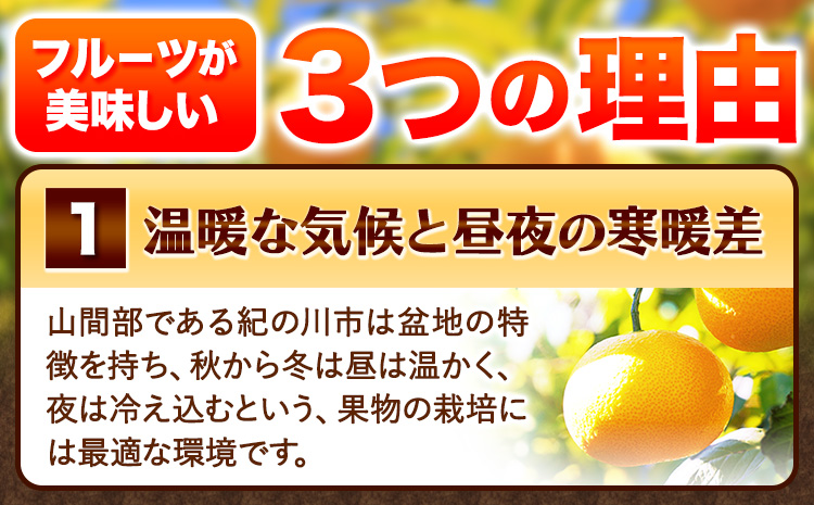 見た目は訳あり中身は変わらぬ美味しさ ご家庭用 はっさく 約10kg (サイズ不選別) 早生･晩生指定不可《2027年2月上旬-3月中旬に出荷予定(土日祝除く)》紀の川市 八朔 柑橘 果物 フルーツ ご家庭用 ビタミンC 柑橘 訳あり 規格外 訳あり 傷