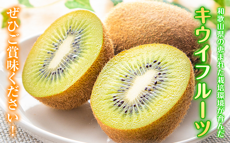 å
è¡äºçŽ åæå±±çç£ ããŠã€ãã«ãŒã çŽ3.6kg çŽ20çã36çååŸ åååºã2026幎2æäžæ¬-3ææ«é åºè·ãããŠã€ ããŠã€ãã«ãŒã ãã«ãŒã ã¹ã€ãŒã æç© éæç¡æ