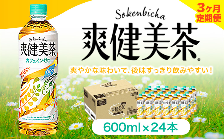 ★3ヶ月定期便★ 爽健美茶 600ml×24本 コカ・コーラボトラーズジャパン（株）《お申込み月翌月から出荷開始》和歌山県 紀の川市 お茶 茶 ハトムギ 玄米 月見草