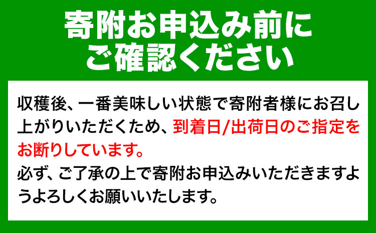 【訳あり/ご家庭用】はっさく 八朔 4kg＋1kg 計約5kg サンファーム《1月上旬-3月末頃より出荷予定》和歌山県 紀の川市 ご家庭用