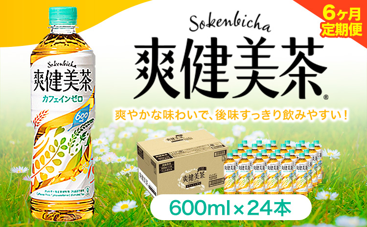 ★6ヶ月定期便★ 爽健美茶 600ml×24本 コカ・コーラボトラーズジャパン（株）《お申込み月翌月から出荷開始》和歌山県 紀の川市 お茶 茶 ハトムギ 玄米 月見草