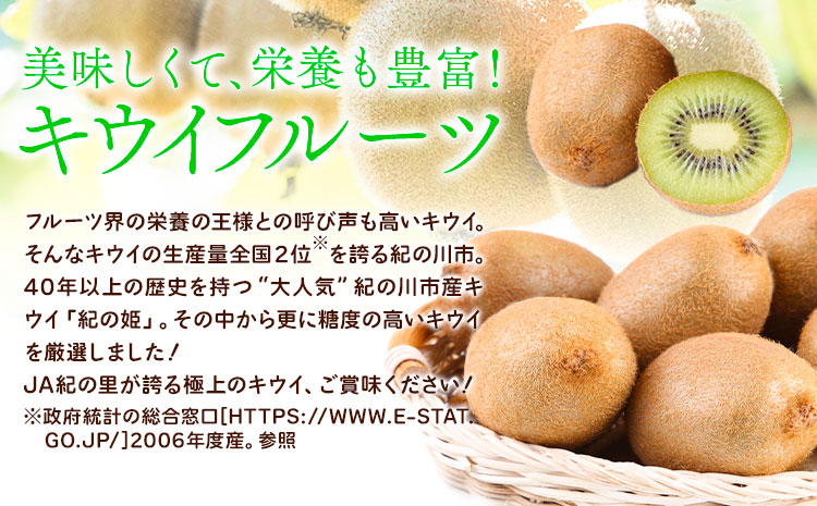 【先行予約】和歌山県紀の川市産 キウイ約2kg(12〜17玉) ときわオンライン《12月下旬-2027年5月中旬頃出荷》 和歌山県 紀の川市 キウイ キウイフルーツ 果物 フルーツ 送料無料