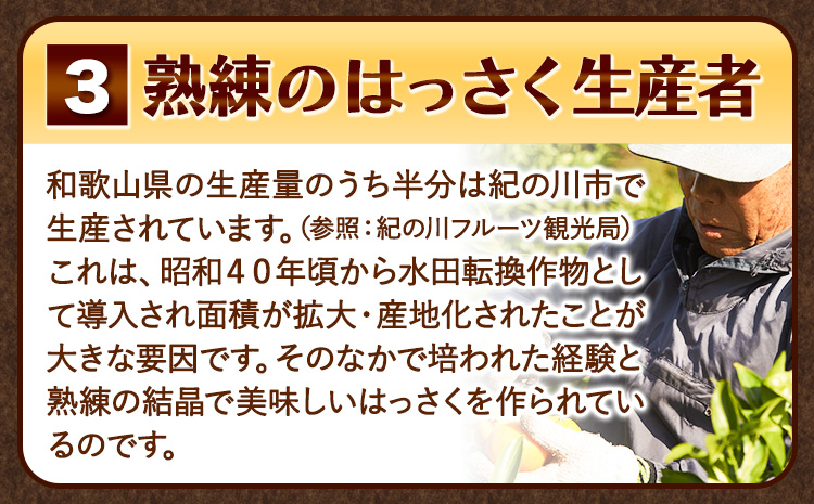 見た目は訳あり中身は変わらぬ美味しさ ご家庭用 はっさく 約10kg (サイズ不選別) 早生･晩生指定不可《2027年2月上旬-3月中旬に出荷予定(土日祝除く)》紀の川市 八朔 柑橘 果物 フルーツ ご家庭用 ビタミンC 柑橘 訳あり 規格外 訳あり 傷