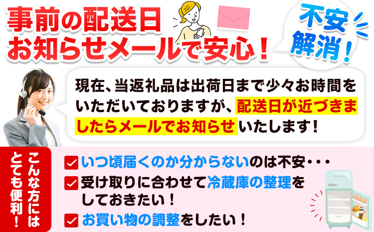 【先行予約】桃 もも あら川の桃 和歌山県産 紀州 の名産 旬の桃厳選 約4kg 10-15玉入り 《2025年6月中旬-8月中旬頃出荷》 果物 フルーツ お取り寄せ 和歌山 予約 あかつき 紀の川 あらかわ 白鳳 日川白鳳 八旗白鳳 清水白桃 川中島白桃 つきあかり