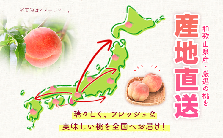 桃 もも 紀の里の桃 約2kg 《2024年6月中旬-8月中旬頃出荷》 和歌山県