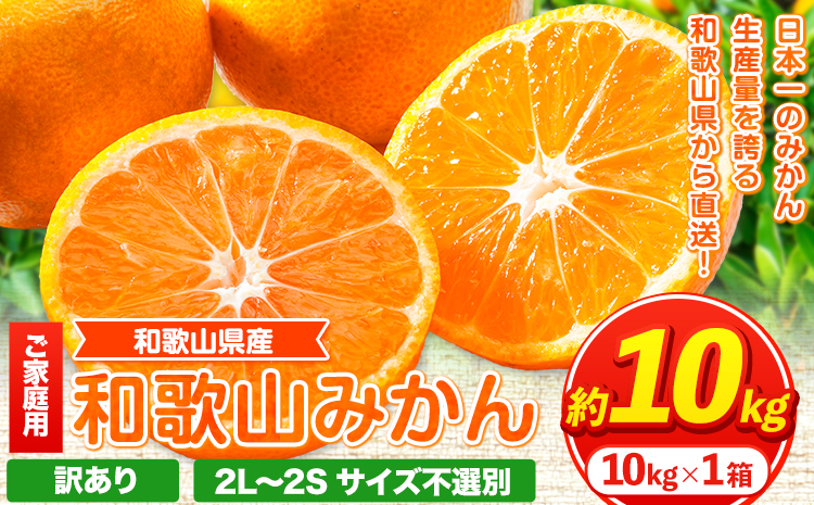 【ふるさと納税】【訳あり/サイズ不選別】 和歌山みかん 約10kg 和歌山県産 《11月中旬から1月中旬に出荷予定(土日祝除く)》たっぷり ご家庭用 2L〜2S 産地直送 みかん 旬 蜜柑 ミカン 柑橘 果物 フルーツ 和歌山県 紀の川市