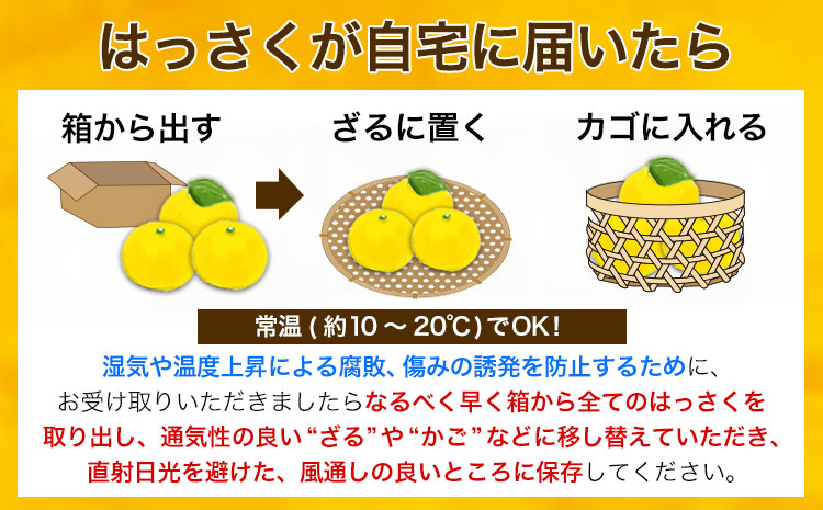 訳あり サイズ不選別 早生･晩生指定不可 はっさく 約4kg (4L~Sサイズ)《2月上旬-4月中旬頃出荷》和歌山県 紀の川市 産地直送 みかん 八朔 柑橘 果物 フルーツ ご家庭用 ビタミンC たっぷり