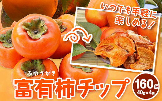 和歌山県産 富有柿チップ 160g（40g×4袋） ふるさと農園《12月中旬-12月下旬頃より順次出荷》 和歌山県 紀の川市