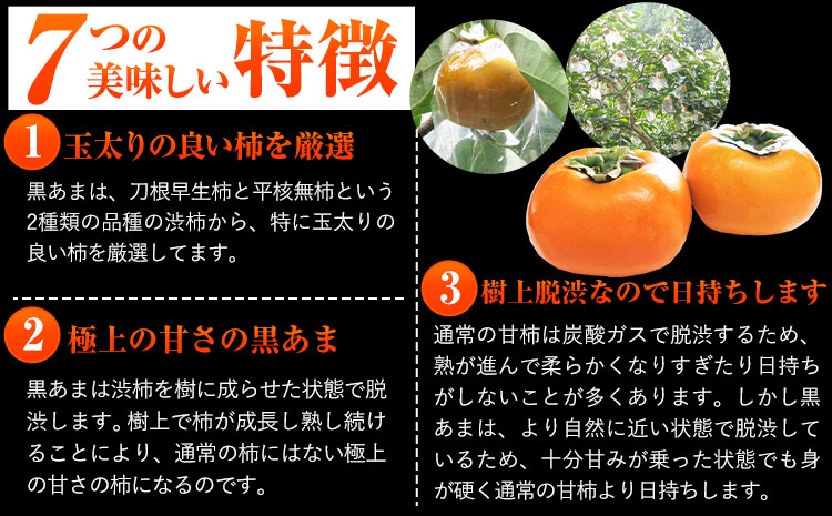 お試し用! 高級ブランド柿「黒あま」 紀の川柿 約1.5kg(4〜6個) 4L〜2L《2024年10月上旬-11月上旬頃出荷》和歌山県 紀の川市 たねなし柿 くろあま 高級 産地直送 かき 柿 カキ 果物 フルーツ お試し