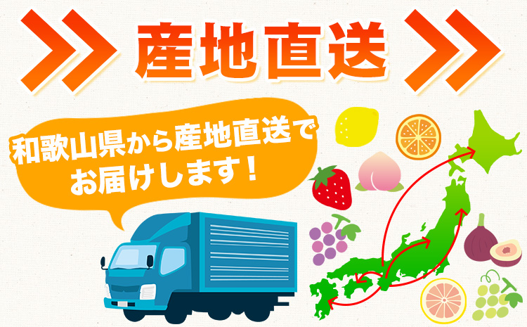 訳あり サイズ不選別 早生･晩生指定不可 はっさく 約4kg (4L~Sサイズ)《2月上旬-4月中旬頃出荷》和歌山県 紀の川市 産地直送 みかん 八朔 柑橘 果物 フルーツ ご家庭用 ビタミンC たっぷり