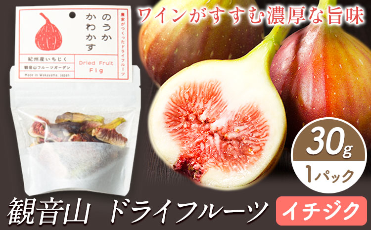 観音山ドライフルーツ（イチジク）30g 1個 有限会社柑香園 《30日以内に出荷予定(土日祝除く)》 和歌山県 紀の川市 フルーツ 果物 いちじく ドライフルーツ 送料無料