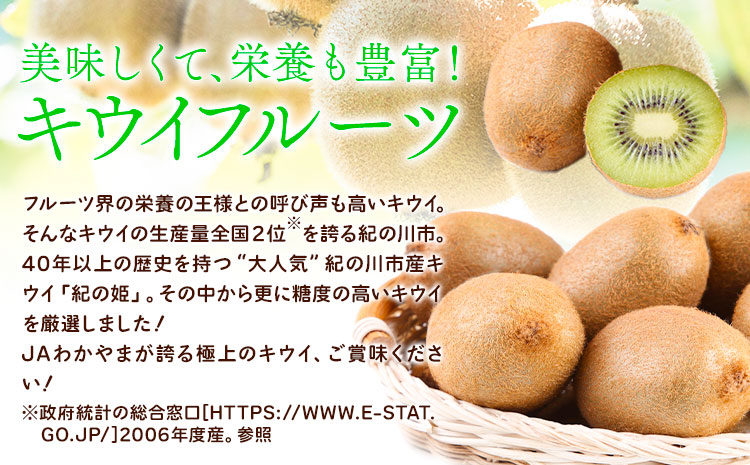 【先行予約】紀の姫キウイフルーツ 約3.6kg (20-27玉入) JAわかやま 紀の里地域本部 《2027年1月上旬-2月末頃出荷》 和歌山県 紀の川市