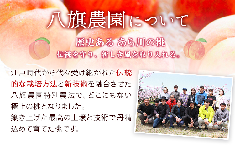 あら川の桃ジュース 「桃とろり」6本入り 八旗農園《30日以内に出荷予定(土日祝除く)》和歌山県 紀の川市 桃山町 もも モモ ジュース 飲料