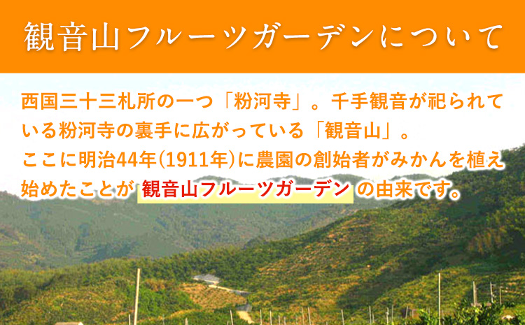 観音山ドライフルーツ（イチジク）30g 1個 有限会社柑香園 《30日以内に出荷予定(土日祝除く)》 和歌山県 紀の川市 フルーツ 果物 いちじく ドライフルーツ 送料無料