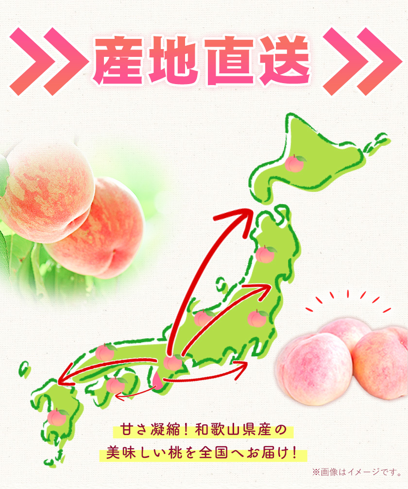 和歌山県産桃（もも）約1.5kg(5〜6玉)秀品 前商店《6月上旬-8月上旬頃出荷》産地直送 もも モモ 果物 フルーツ
