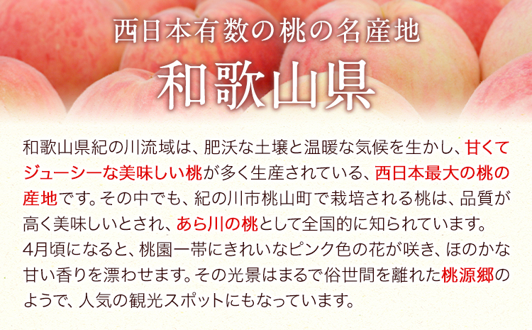 あら川の桃ジュース 「桃とろり」6本入り 八旗農園《30日以内に出荷予定(土日祝除く)》和歌山県 紀の川市 桃山町 もも モモ ジュース 飲料