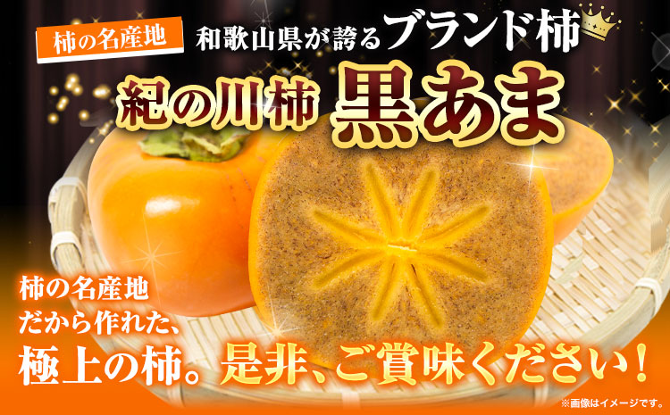 お試し用! 高級ブランド柿「黒あま」 紀の川柿 約1.5kg(4〜6個) 4L〜2L《2024年10月上旬-11月上旬頃出荷》和歌山県 紀の川市 たねなし柿 くろあま 高級 産地直送 かき 柿 カキ 果物 フルーツ お試し