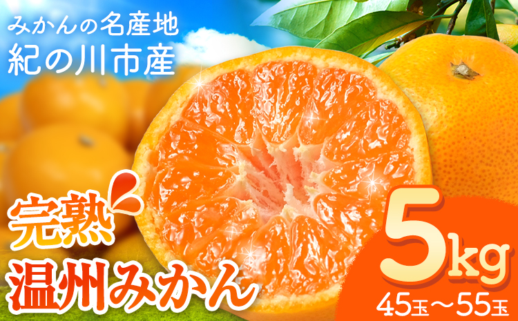 【先行予約】完熟 温州 みかん 約5kg (45~55玉) こだまファーム《10月中旬-2月中旬頃出荷》 和歌山県 紀の川市 みかん ミカン 果物 フルーツ