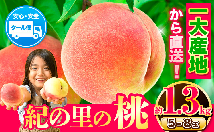 【数量限定 お試し容量】 和歌山県産 紀の里の桃 約1.3kg (5～8玉) 先行予約《2025年6月中旬-8月中旬頃出荷》桃 もも モモ 果物 フルーツ お取り寄せ 和歌山 白鳳 日川白鳳 八旗白鳳 清水白桃 川中島白桃 送料無料