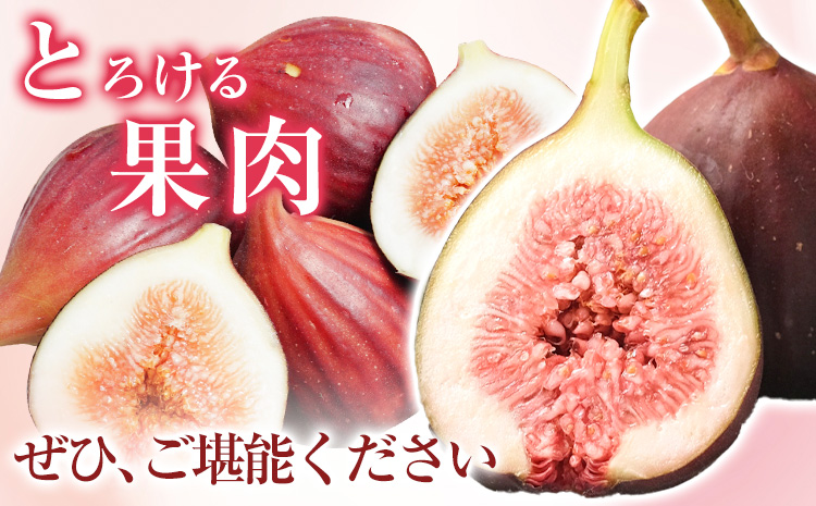 ãã¡ãã å®çãã¡ãã çŽ600g (300gÃ2ããã¯) ã詊ã ãã㯠ãã¡ãã ã€ããžã¯ ç¡è±æ çŽã®é蟲æ¥ååçµåã2026幎9æäžæ¬-11æäžæ¬é åºè·ã åæå±±ç çŽã®å·åž éæç© æç© ãã ãã® ãã«ãŒã ã¹ã€ãŒãst-p