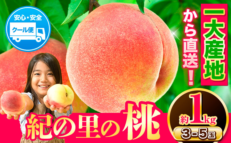 桃 もも【2025年先行予約】和歌山県産 紀の里の桃 約1kg (3-5玉入り)《6月中旬-8月中旬頃出荷》 桃 2025年 先行 桃 先行予約2025 もも2025 白鳳 日川白鳳 八旗白鳳 清水白桃 川中島白桃 つきあかり もも 白鳳 先行予約 もも川中島 もも2025 もも 白鳳 先行予約 もも 先行予約 もも 和歌山 もも