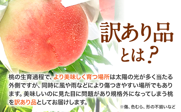 【訳あり】 ご家庭用 和歌山の桃 約2kg (6玉~8玉) m&n果実園 【配送不可地域あり】《6月中旬-7月下旬頃出荷》和歌山県 紀の川市 モモ 桃 もも 旬 白鳳 日川白鳳 なつっこ 果物 フルーツ