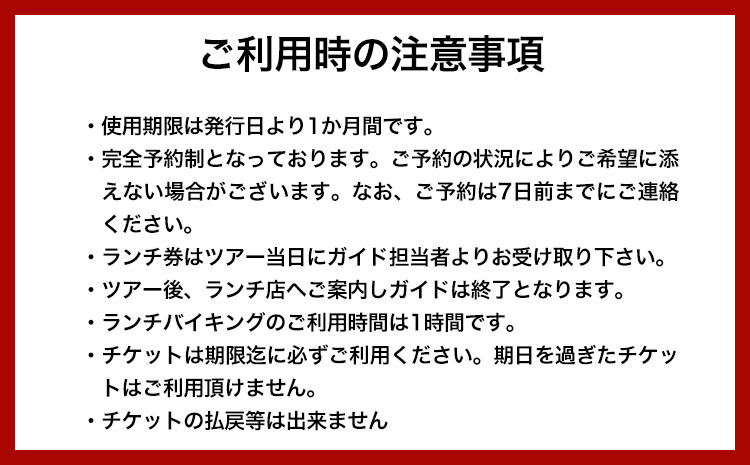 案内人と行く青州の里満喫ツアー 1名様 　一般社団法人青洲の里 体験型返礼品 コト消費 《90日以内に出荷予定(土日祝除く)》 和歌山県 紀の川市