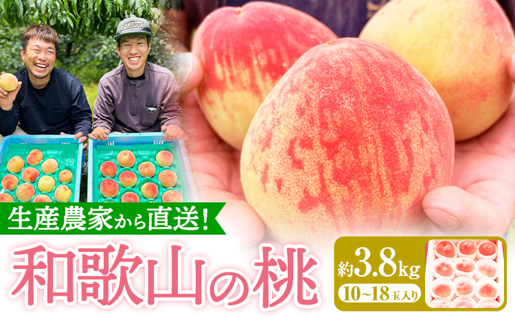 和歌山県産の桃 約3.8kg (10~18玉) GREEN JUNCTION株式会社《2025年6月中旬-2025年8月末頃出荷》和歌山県 紀の川市 桃 果物 果実 フルーツ 自然栽培 送料無料