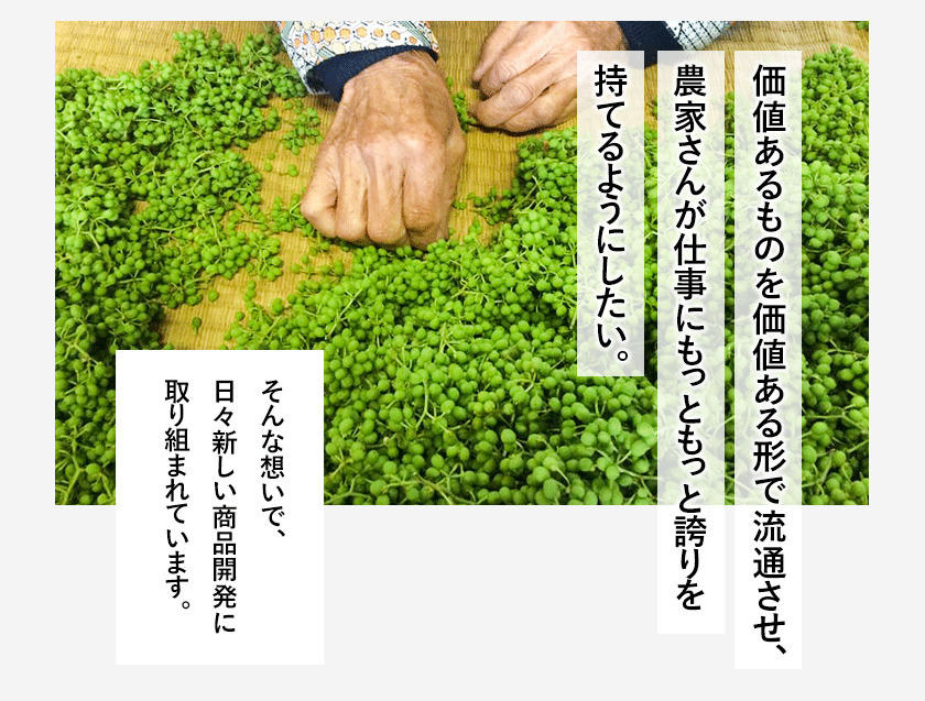 ナッツ・ドライフルーツ詰合せ FROM FARM 《90日以内に順次出荷(土日祝