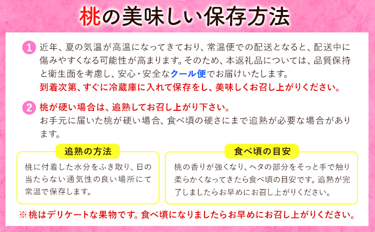 【贈答用】 秀品 和歌山の桃 約2kg (6玉~8玉) m&n果実園 【配送不可地域あり】 《6月中旬-7月下旬頃出荷》和歌山県 紀の川市 モモ 桃 もも 旬 白鳳 日川白鳳 なつっこ 果物 フルーツ 贈り物 ギフト