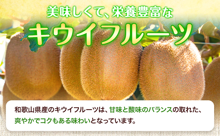 å
è¡äºçŽ åæå±±çç£ ããŠã€ãã«ãŒã çŽ3.6kg çŽ20çã36çååŸ åååºã2026幎2æäžæ¬-3ææ«é åºè·ãããŠã€ ããŠã€ãã«ãŒã ãã«ãŒã ã¹ã€ãŒã æç© éæç¡æ