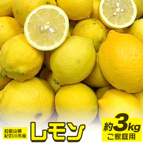 先行予約 和歌山県紀の川市産レモン 約3kg ご家庭用 サイズ混合 前商店《2023年1月上旬-3月末頃より順次出荷》産地直送 レモン 檸檬