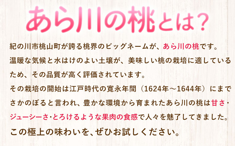 【先行予約】和歌山産あら川の桃 約1.5kg (5玉〜6玉) 秀品 前商店《6月末-8月上旬頃出荷》 和歌山県 紀の川市