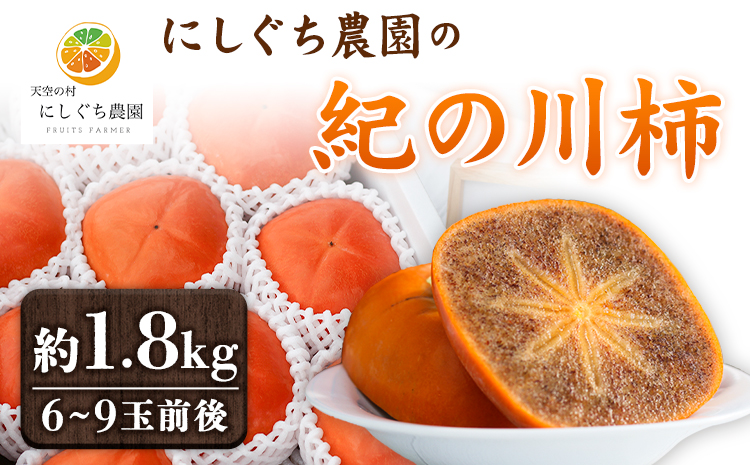 【予約受付】紀の川柿 約1.8kg（6個〜9個入り）　にしぐち農園《2023年10月下旬-11月中旬頃出荷》和歌山県 紀の川市 産地直送